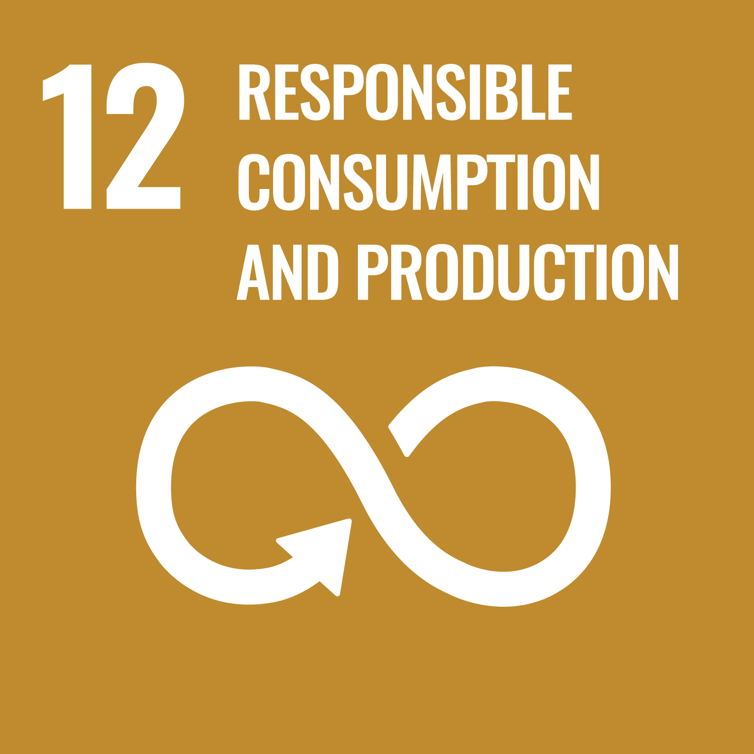 UN Sustainable Development Goal 12: Responsible Consumption & Production